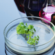 Illustration for article titled Science Gel Could Help Dieters Caulk Their Own Bowels